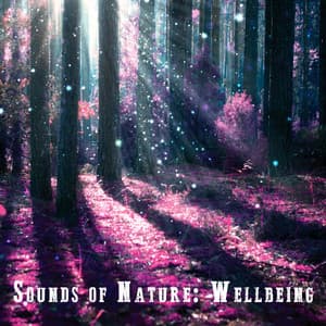 Sounds of Nature: Wellbeing - The Healing Sounds of Nature