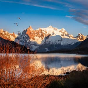 Momentos Suaves: Música Para La Comodidad Diaria - Sección