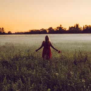 Soft Sounds to Relax and Calm Yourself - Lofi Study Mode