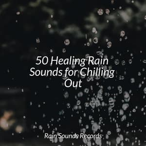 50 Healing Rain Sounds for Chilling Out - Cascada de Lluvia