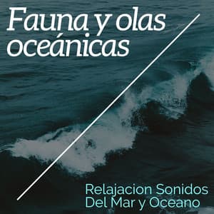 Fauna y olas oceánicas - Relajacion Sonidos Del Mar y Oceano
