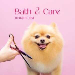 Bath & Care: Doggie Spa - Calming, Soothing Music for Pet Salon - Pets Music