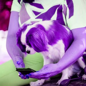 Music for Dreamy Doggo - Dream-Like Jazz Quintet - Music for Sleeping Puppies