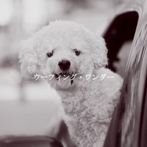 ウーフィング・ワンダー - Cafe Music