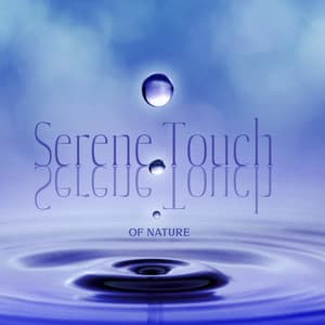 Serene Touch of Nature: Calming Nature Sounds to Help You Fall Asleep, Insomnia Cure, Restful Sleep - Tranquil Sounds of Nature