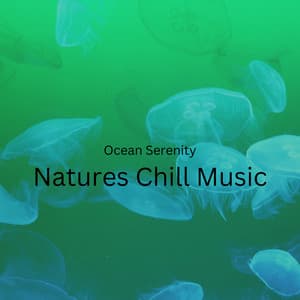 Ocean Serenity: Natures Chill Music - The Amnesias