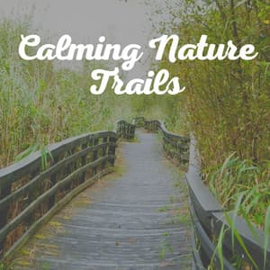 Calming Nature Trails - Zen Garden Secrets