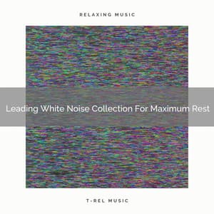 Leading White Noise Collection For Maximum Rest - Baby White Noise / White Noise for Babies