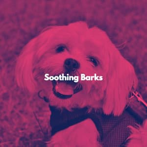 Soothing Barks - Relaxing Weekend Jazz