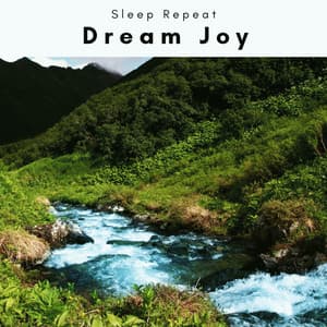 1 Dream Joy - Sleep Repeat