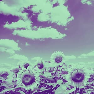 Bgm for llustrious Shapes - Good Morning Jazz