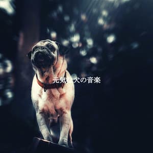 元気な犬の音楽 - Morgen Jazz