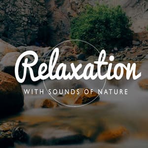 Relaxation with Sounds of Nature - Ambient Nature Sounds