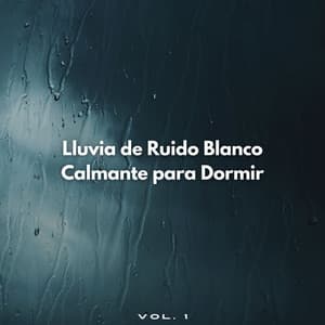 Lluvia De Ruido Blanco Calmante Para Dormir Vol. 1 - Sonidos de lluvia para dormir