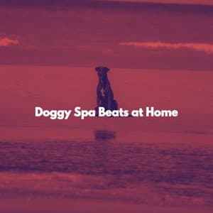 Doggy Spa Beats at Home - Soothing Jazz Bar Cafe