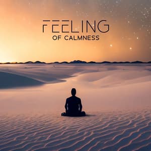 Feeling of Calmness: Control of Your Emotions - Oasis of Relaxation Meditation