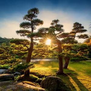 Orchestra Of Tranquil Moments: Orchestral Soundscapes For Deep Relaxation - Lee Rosangela