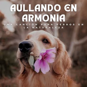 Aullando en Armonía: Una Canción para Perros en la Naturaleza - Fondo de naturaleza y sonidos