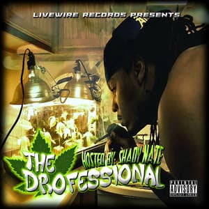 The Drofessional - Shady Nate