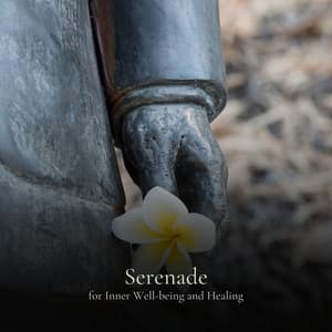 * Serenade for Inner Well-being and Healing * - Sounds Of Calm