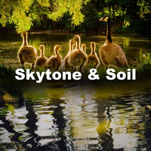 Skytone & Soil - Nature's Music