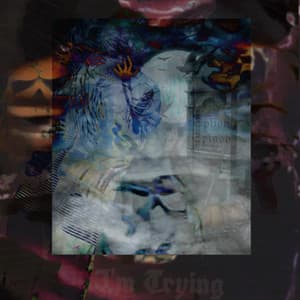 I'm Trying - Splish Splash