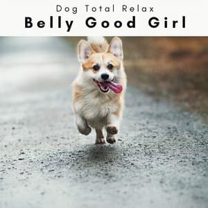 4 Dogs: Belly Good Girl - Dog Total Relax
