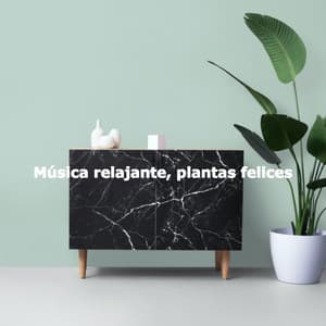 Música relajante, plantas felices - Relaxing Jazz London