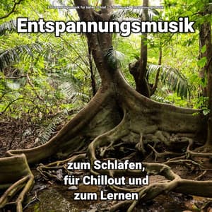 ! ! ! ! ! Entspannungsmusik zum Schlafen, für Chillout und zum Lernen - Entspannungsmusik für tiefen Schlaf