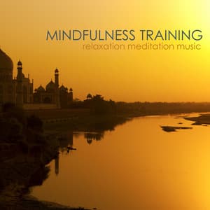 Mindfulness Training: Relaxing Meditation Music for Mindful Techniques & Yoga Exercises - Relaxing Mindfulness Meditation Relaxation Maestro