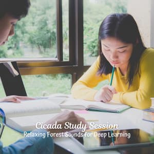 Cicada Study Session: Relaxing Forest Sounds for Deep Learning - Exclusive Nature