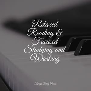 Beautiful Reading Collection | Sleep and Relaxation - Tranquil Music Sound of Nature