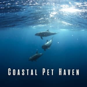 Coastal Pet Haven: Meditation and Ocean Harmony - Relaxing Mindfulness Meditation Relaxation Maestro