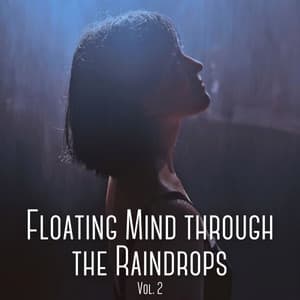 Floating Mind through the Raindrops Vol. 2 - Asian Zen Spa Music Experience