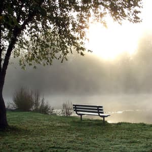 Ethereal Drizzles: Melodic Rain's Peaceful Serenade - Earth Thunder Sounds 2021