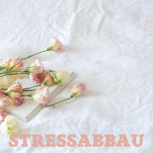 Stressabbau - Lernmusik