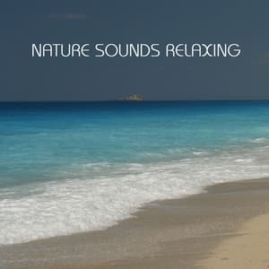 Nature Sounds Relaxing: the Most Relaxing Music Imaginable. Relaxing Sounds of Nature, Sound of Rain, Calm Music and all Nature Sounds for Contemplative and Reflective Minds - Nature Sounds Relaxing