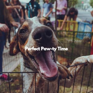 Perfect Paw-ty Time - Coffee Shop Smooth Jazz