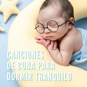 Canciones De Cuna Para Dormir Tranquilo: La Calma Interior Del Bebé - Sonidos Del Bosques