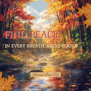 Find Peace in Every Breath, Every Sound - Stress Free Hz