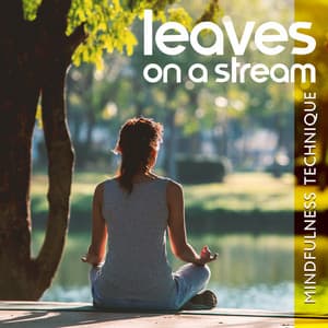 Leaves on a Stream: Mindfulness Technique, Gently Flowing Water for Meditation and Acceptance - Healing Music Academy
