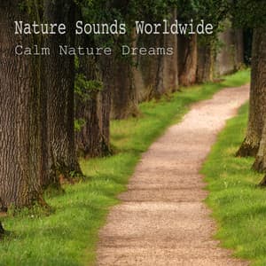 Calm Nature Dream - Nature Sounds Worldwide