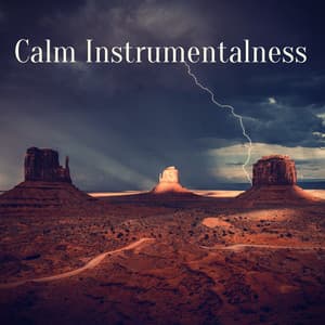 Calm Instrumentalness - The Instrumental Orchestra