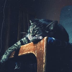 猫の行動 - Relaxing Chillout Lounge
