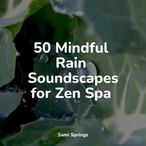 50 Mindful Rain Soundscapes for Zen Spa - Echoes Of Nature