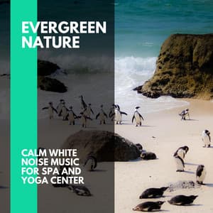 Evergreen Nature - Calm White Noise Music for Spa and Yoga Center - Incredible Oceans