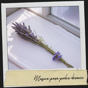 Música para poder dormir: Noches de Paz y Serenidad - Dog Relaxation