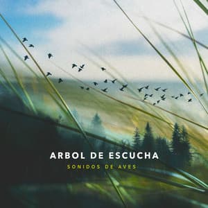 Arbol de Escucha - Sonidos De Aves