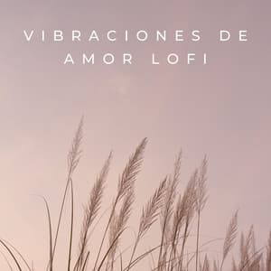 Vibraciones De Amor Lofi - Relájate Hip Hop