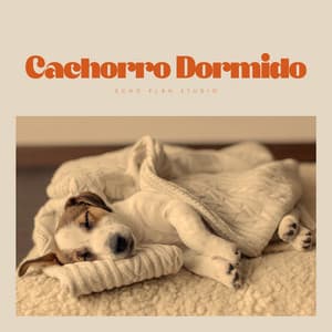 Cachorro Dormido - Música Pura Para Perros
